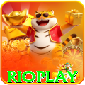 rioplay - Casino Premium